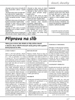 Strana 17